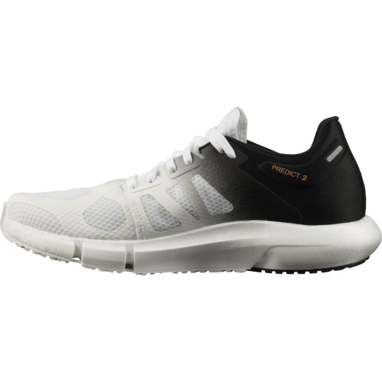 White / Black Salomon Predict 2 Men's Running Shoes | IE NJ0851